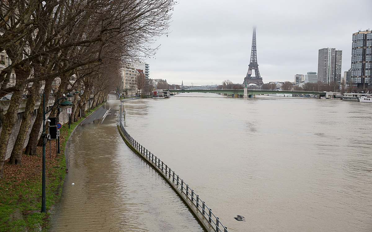Un nouveau "plan pluie" à Paris pour rendre la ville plus perméable. © Mairie de Paris